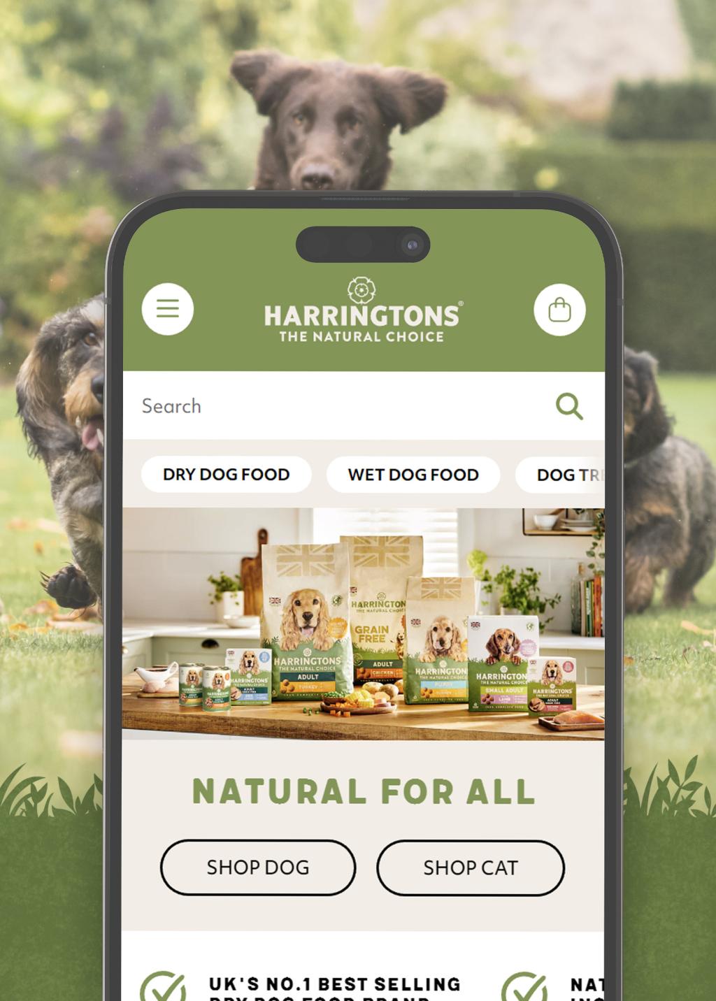 Shopify Plus theme development example on mobile phone